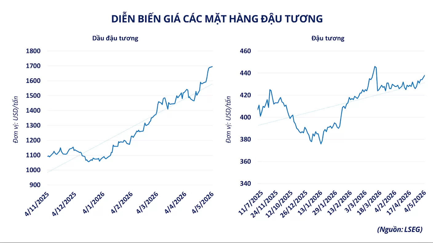 Giá đậu tương tăng hơn 2% lên 442 USD/tấn